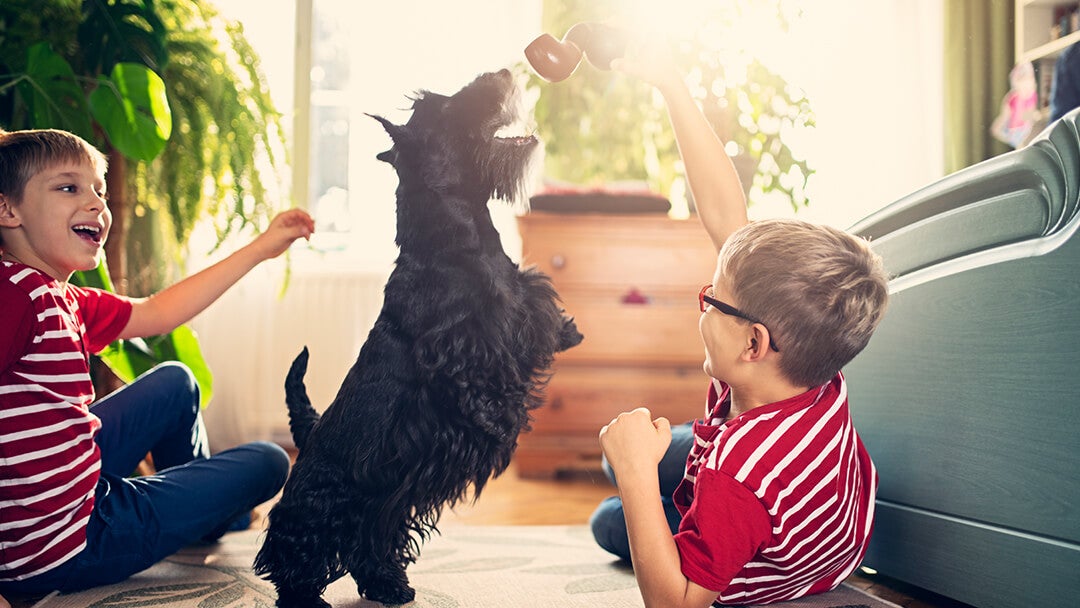 Children playing with dog