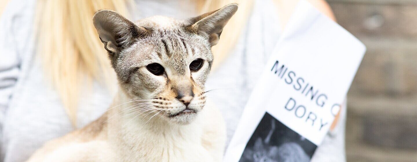 woman holding cat and missing cat poster