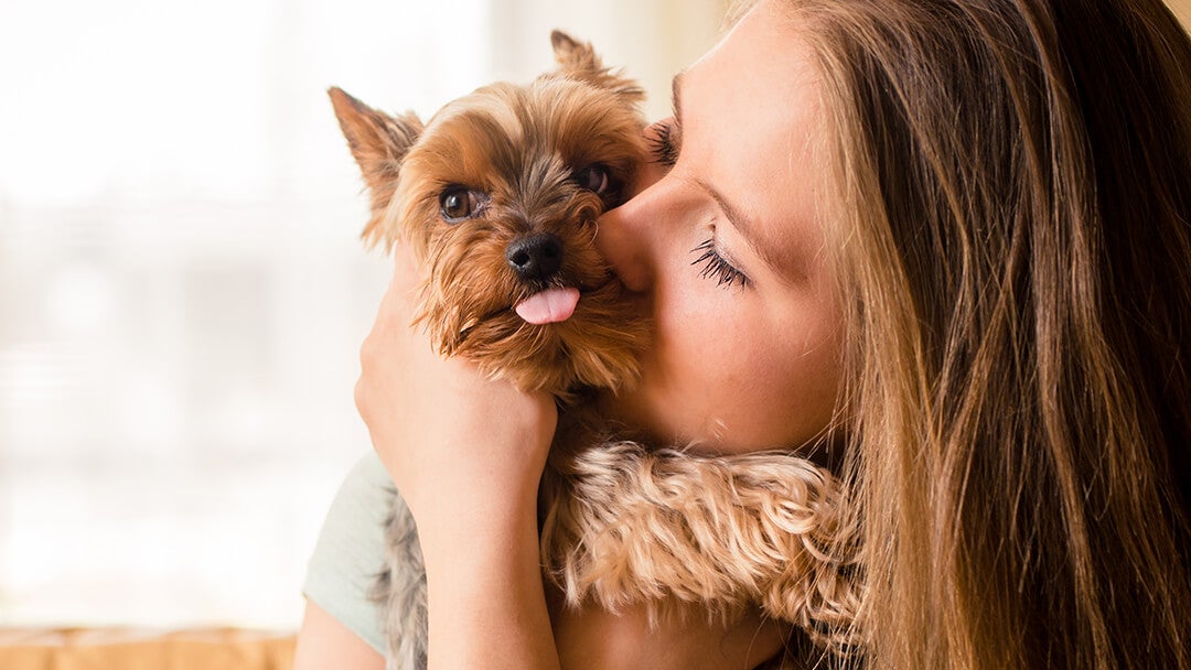 girl cuddling her yorkie pup