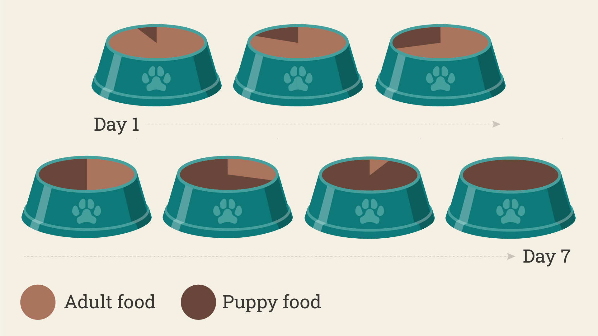 adult to puppy food transition for pregnant dogs