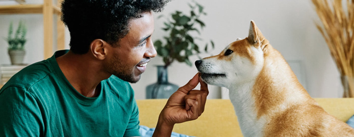 Can Dogs Eat Bread