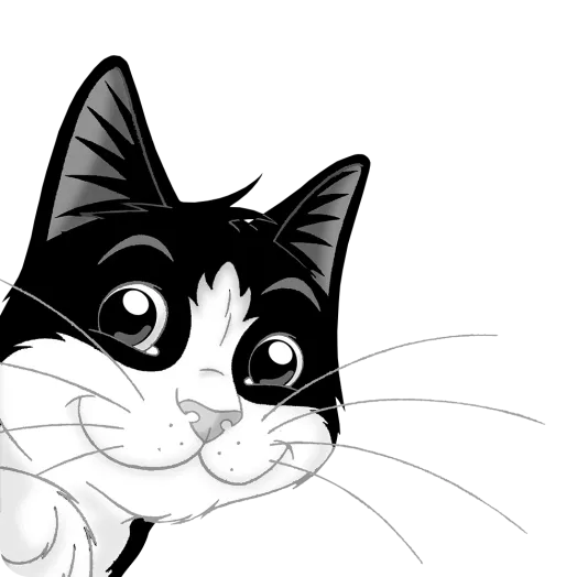 Felix cat teaser image