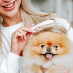 How to Groom a Dog: A Handy Guide