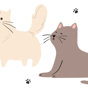 Famous Cartoon Cats