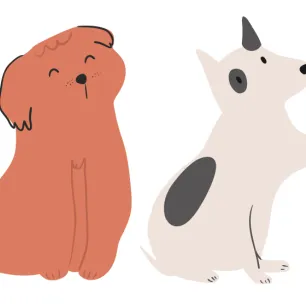  Iconic Cartoon Dogs