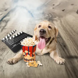 Can Dogs Eat Popcorn