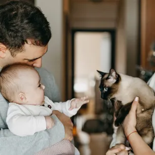 How to Safely Introduce Cats and Babies for the First Time