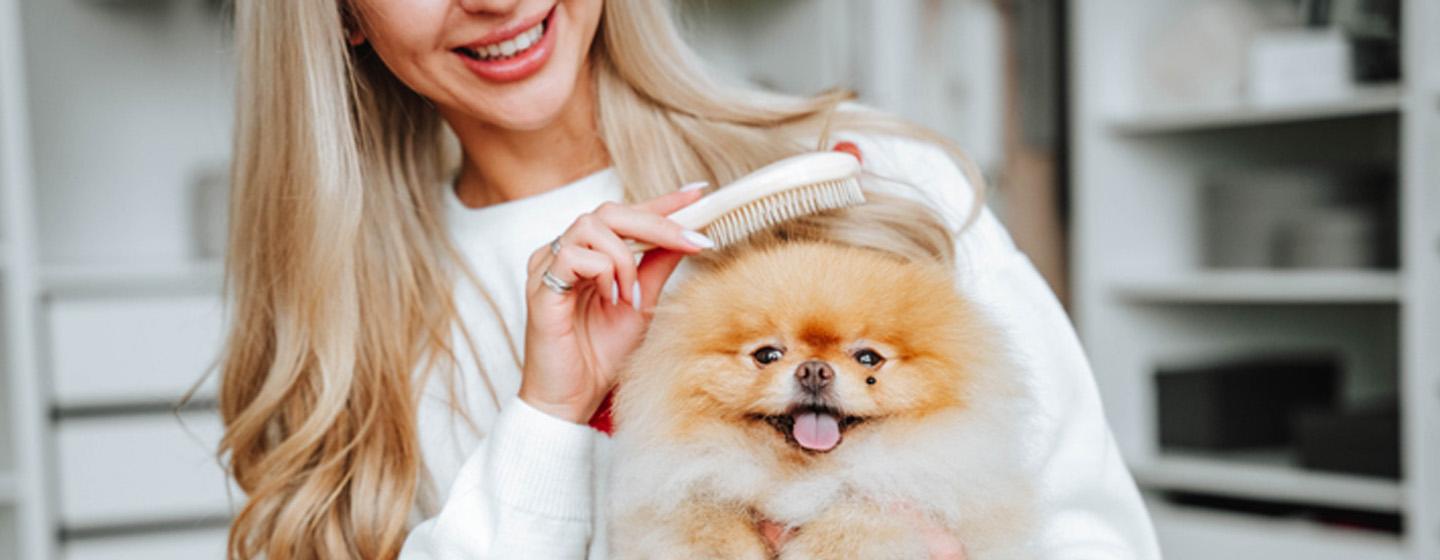 How to Groom a Dog: A Handy Guide