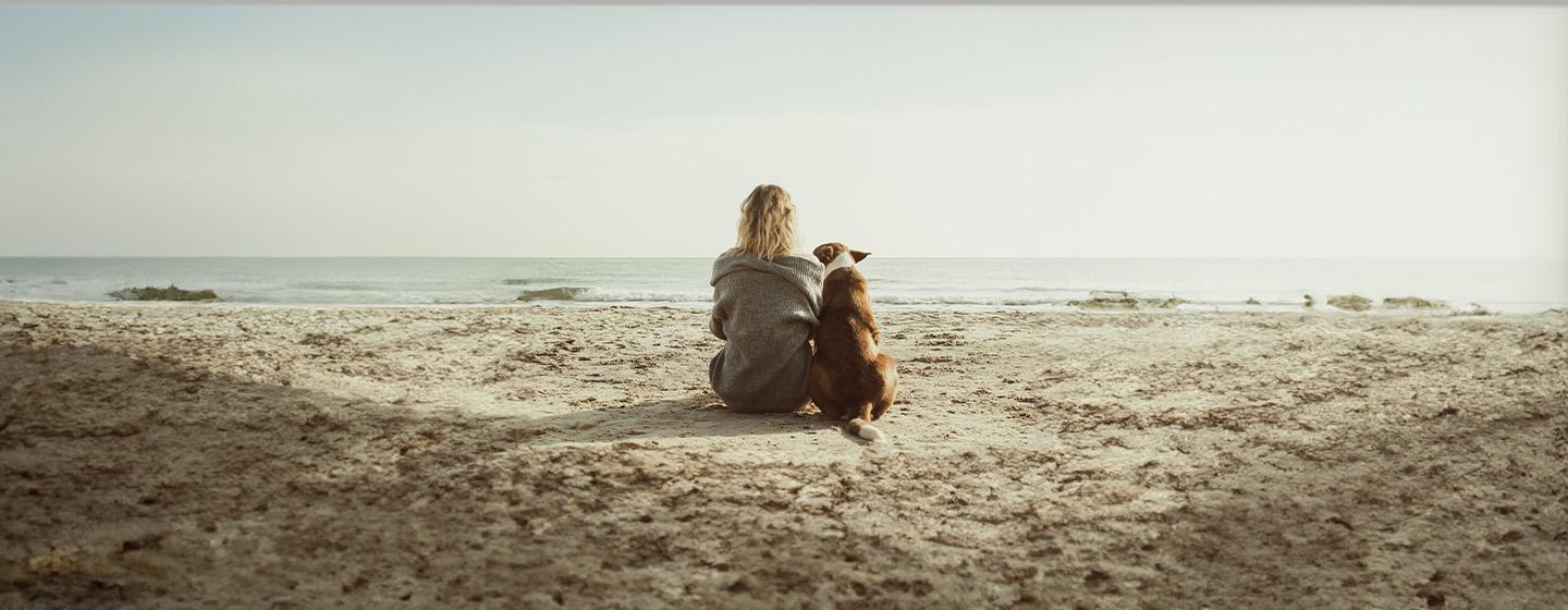 Dog Years to Human Years Calculator.jpg