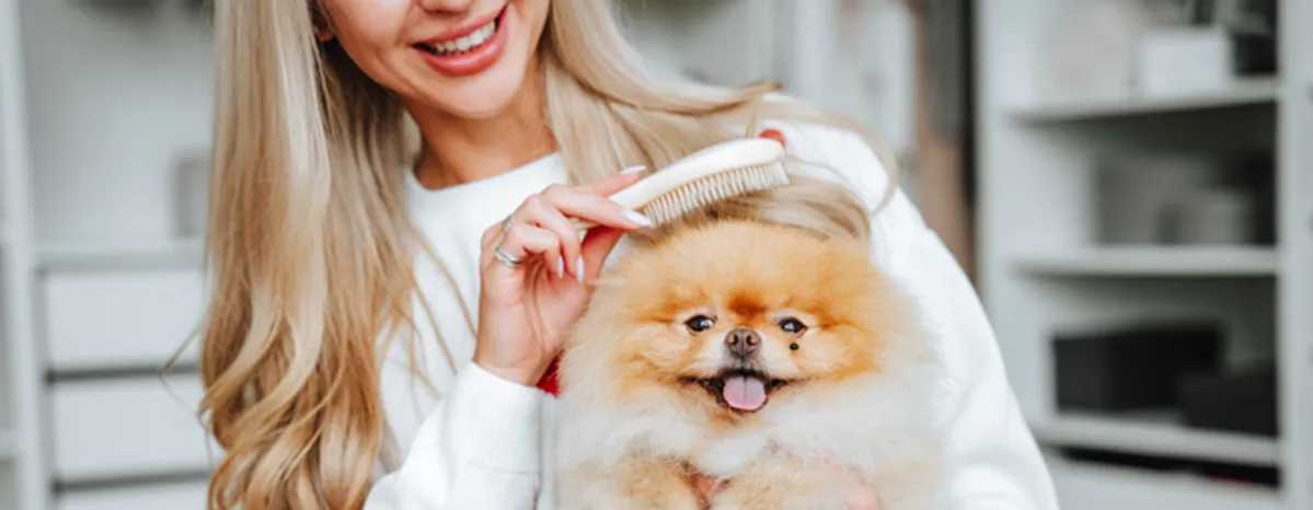 How to Groom a Dog: A Handy Guide