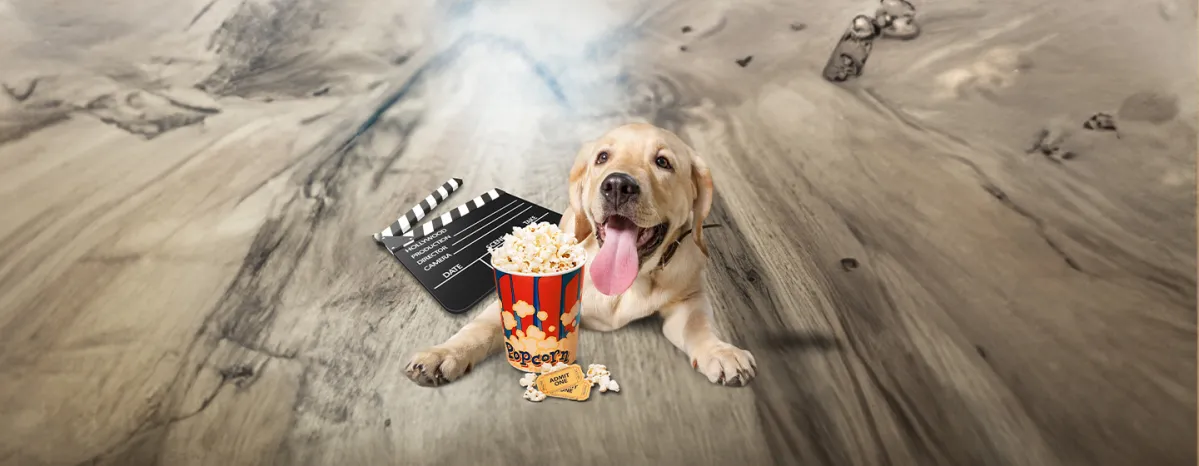 Can Dogs Eat Popcorn