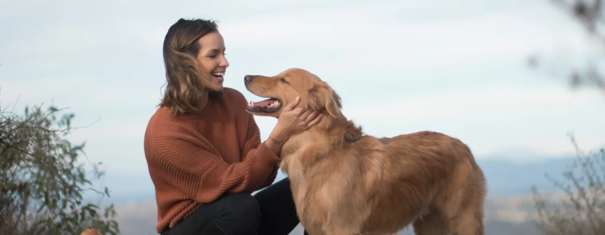 Medium-Sized Dog Breeds