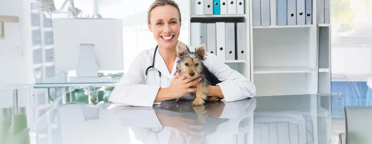 The Importance of Regular Vet Check-Ups for Your Dog
