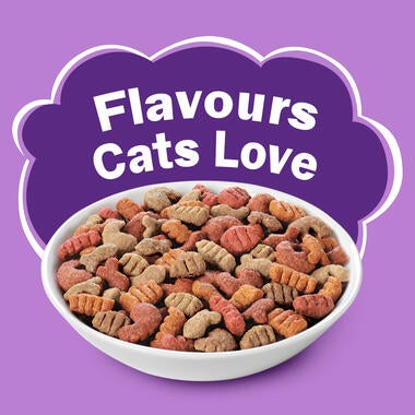 FRISKIES® Adult Surfin' Favourites Dry Cat Food Flavours Cats Love