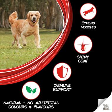 Supercoat Adult All Breed Dry Dog Food with Chicken