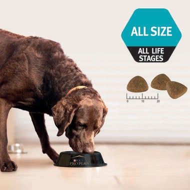 ADULT performance 20kg All size and life stages
