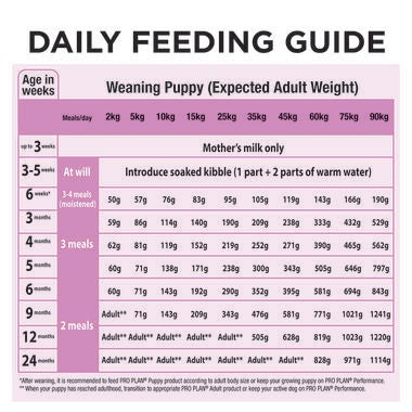 ADULT performance 20kg Daily feeding Guide