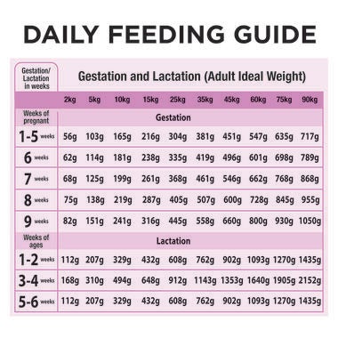 ADULT performance 20kg Daily feeding Guide