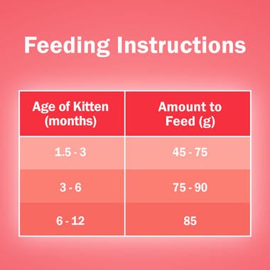 Friskies kitten discoveries Feeding Instruction