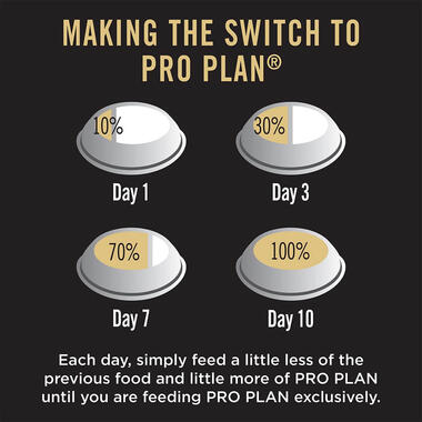 (1080x1080)px_0040_PURINA PRO PLAN Adult Dog Food for Medium Sized Dogs-15Kg Food PLan