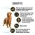 (1080x1080)px_0052_PURINA PRO PLAN Adult Dog Food for Large Breed Dogs-15Kg Benefits
