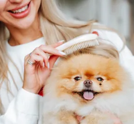 How to Groom a Dog: A Handy Guide