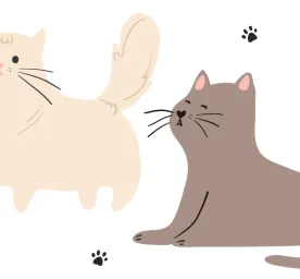 Famous Cartoon Cats