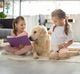 Dog Sitting and Daycare