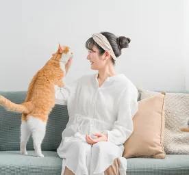 How to Discipline Your Cat