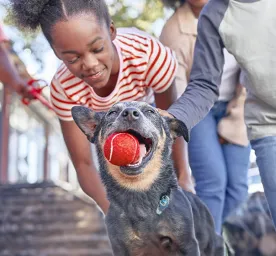 Pet Adoption Interview – Aileen’s Experience