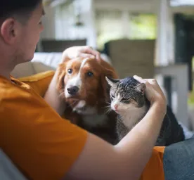Tips on caring for our pets’ health, effectively but efficiently