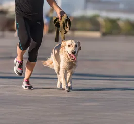 Running With Your Dog