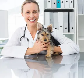 The Importance of Regular Vet Check-Ups for Your Dog