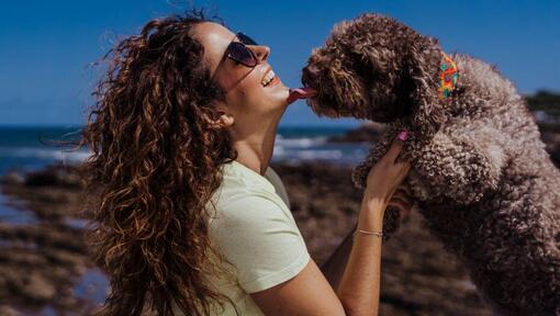 Dog kissing its owner 