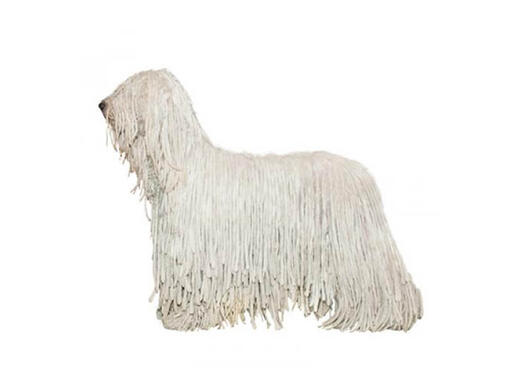 Komondor Mobile