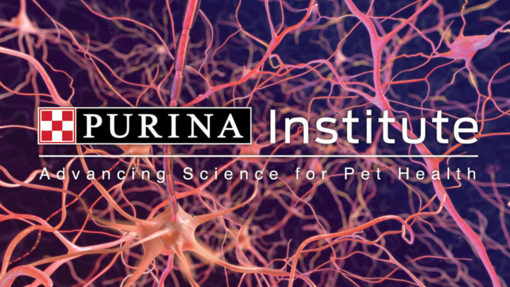 PURINA Institute 930 x 700px