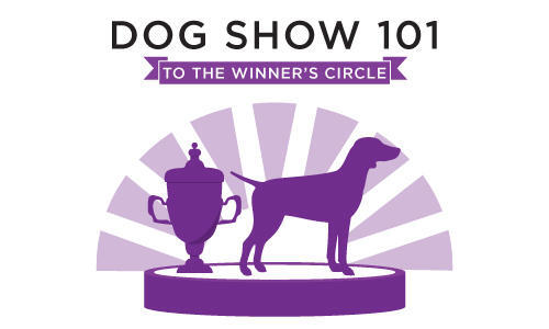 WKC Dog Show101
