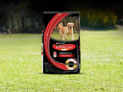 Supercoat Adult Dog Food Product Packs on Grass