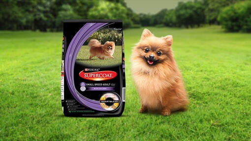 A poramenian dog smiling with SUPERCOAT packshot & logo