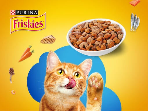 Friskies ginger cat