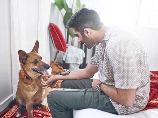 Man and dog