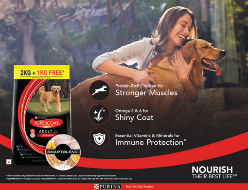 Supercoat Banner Updated 1139x872