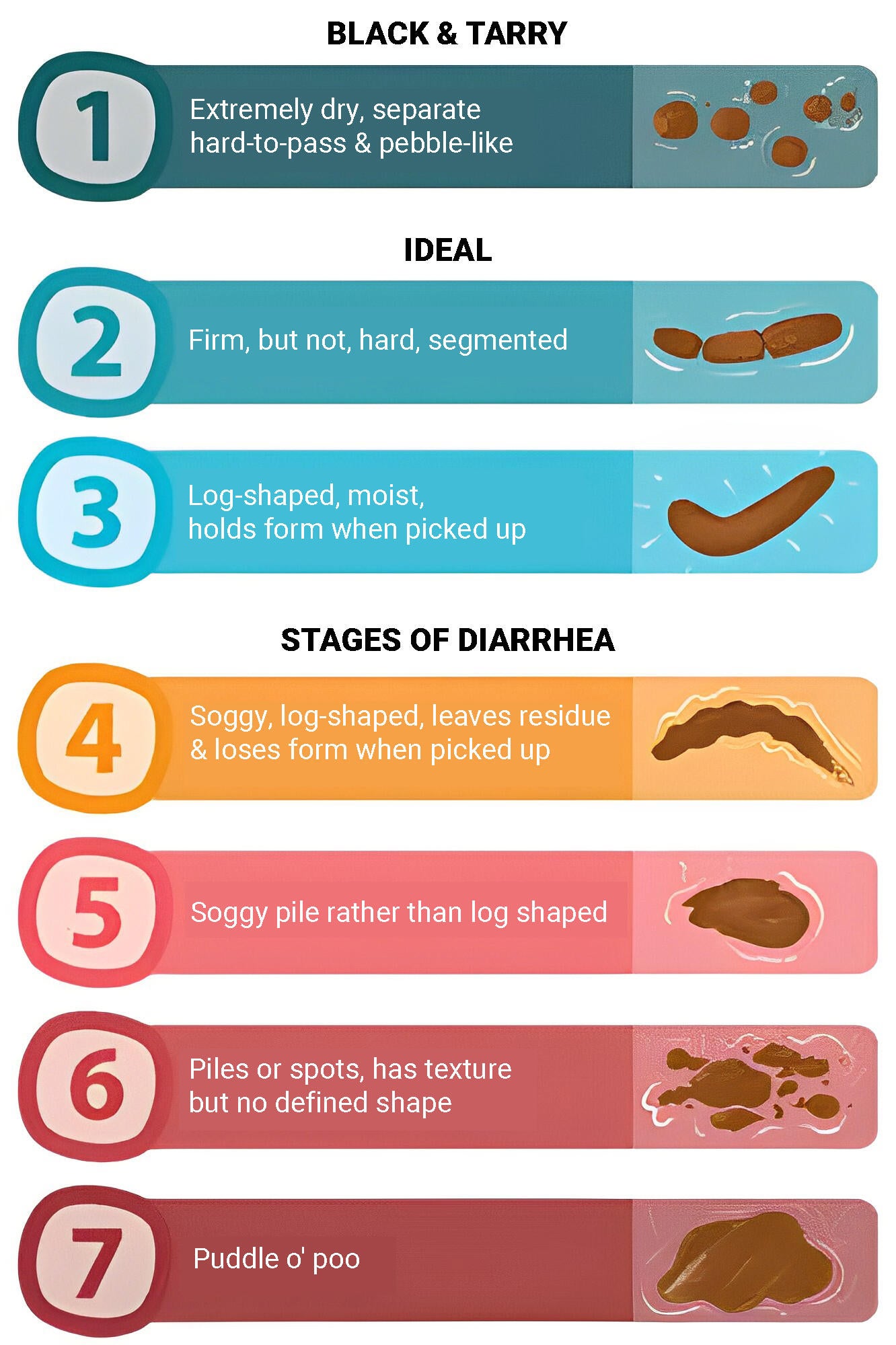 Dog Poop Consistency chart Dog Poop Consistency chart